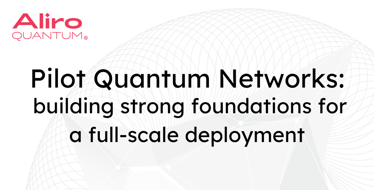 Pilot Quantum Networks: building strong foundations for a full-scale deployment