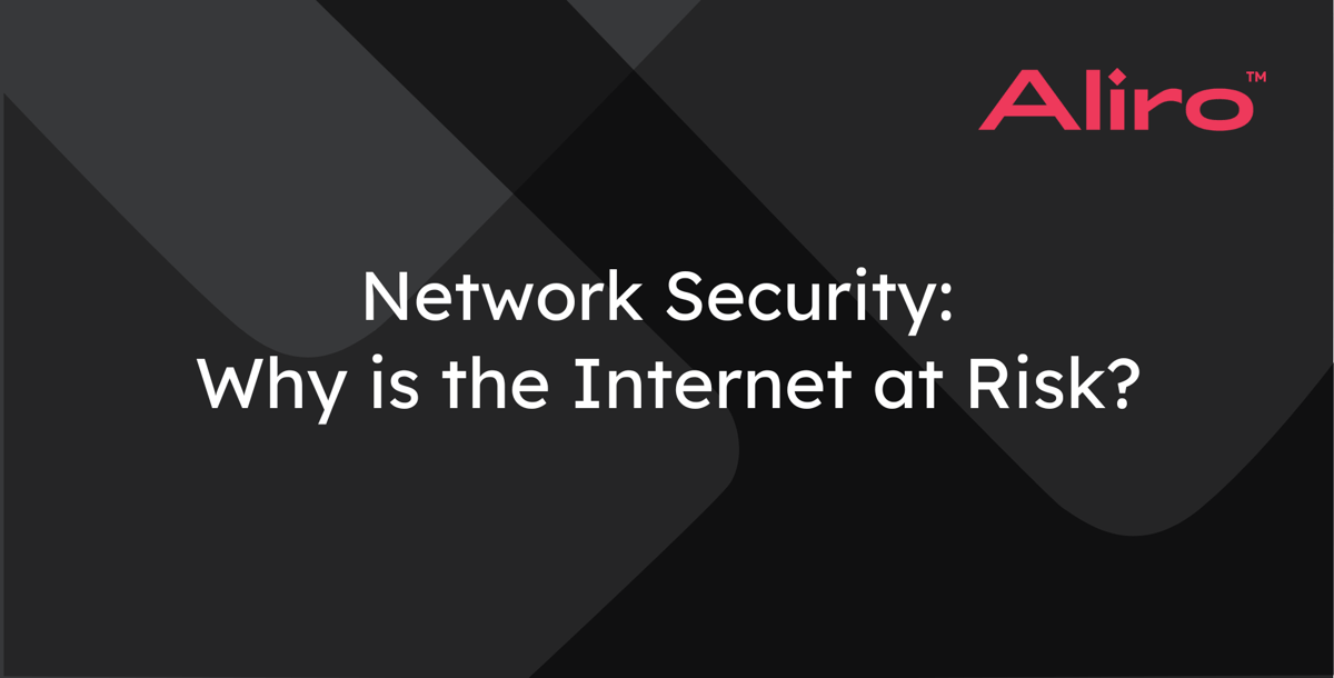 Network Security: Why is the Internet at Risk?